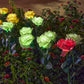 🌹🕯️Memorial Solar Rose Lights | Warm Glow to Honor Your Loved Ones💛