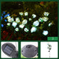 🌹🕯️Memorial Solar Rose Lights | Warm Glow to Honor Your Loved Ones💛