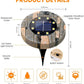 🔥 Hot sale 49 OFF🔥Solar In-Ground Lights – Model Rock