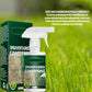 🔥Last Day Sale 49%🔥Pousbo® Green Grass Paint Spray🌿✅