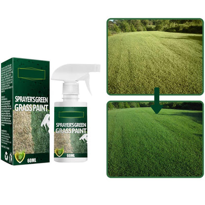 🔥Last Day Sale 49%🔥Pousbo® Green Grass Paint Spray🌿✅