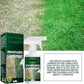 🔥Last Day Sale 49%🔥Pousbo® Green Grass Paint Spray🌿✅