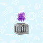 Summer Pool Toys for Kids - Diving Animal & Cage Set