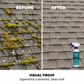 🤩Limited Buy 2,Get 1 Free!🌧️Multi-Surface Roof Moss & Algae Cleaner Spray 🏠✨