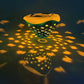 Floating LED Fish Projector Pool Light
