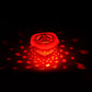Floating LED Fish Projector Pool Light
