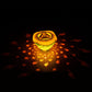 Floating LED Fish Projector Pool Light