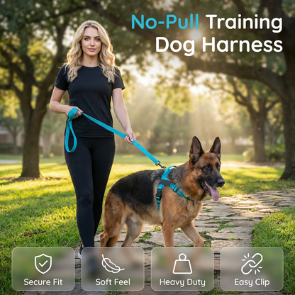 💐50% OFF ! No-Pull Padded Dog Harness – Easy On/Off in Seconds 🐕✨【Limited Offer】