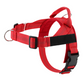 💐50% OFF ! No-Pull Padded Dog Harness – Easy On/Off in Seconds 🐕✨【Limited Offer】