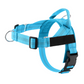 💐50% OFF ! No-Pull Padded Dog Harness – Easy On/Off in Seconds 🐕✨【Limited Offer】