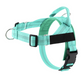 💐50% OFF ! No-Pull Padded Dog Harness – Easy On/Off in Seconds 🐕✨【Limited Offer】