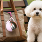Foldable Pet Water Bottle for Travel