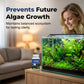 Fish Tank Algae Remover Tablets for Clear Water