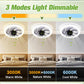 2-in-1 Mute Adjustable Fan Light with Remote Control