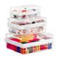 Hard Shell Transparent Storage Bags