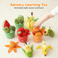 Fruits & Vegetables Sensory Plush Toys for Kids