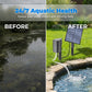 🌞 50% OFF NOW! 💧 Solar Pond Aerator with Air Pump – Solar Powered, High-Efficiency Panel & Easy Installation – Promotes Healthy Fish & Clear Water 🐟