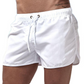 Men’s Summer Quick Dry Beach Shorts