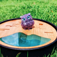 😍Best Sellers😍💞50K+ SOLD!⏳✨Decorative Cute Owl Figurine