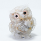 😍Best Sellers😍💞50K+ SOLD!⏳✨Decorative Cute Owl Figurine