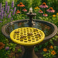 Safe Floating Feeder for Bees & Butterflies