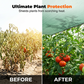 🌿 50% Off – UV-Resistant Plant Shade Net | Durable & Sun-Protective – Perfect for Outdoor Use