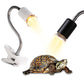 🎁Hot Sale 49% OFF🔥Reptile Heat Lamp for Turtles