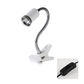 🎁Hot Sale 49% OFF🔥Reptile Heat Lamp for Turtles