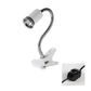 🎁Hot Sale 49% OFF🔥Reptile Heat Lamp for Turtles