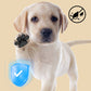 🔥🔥Buy 1  Get 2 Free!!✨4PCS Non-Slip Waterproof Disposable Paw Pads for Dog