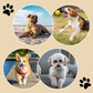🔥🔥Buy 1  Get 2 Free!!✨4PCS Non-Slip Waterproof Disposable Paw Pads for Dog
