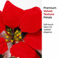 ❄️Summerfresh 50% OFF!🎄Light-Up Poinsettia Christmas Garland – Warm Festive Glow Without a Wall Socket
