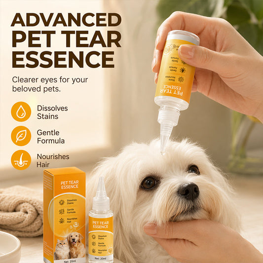 🐶 Enjoy 50% off now! ✨ Gentle pet eye care—cleaning the eye area and daily fur grooming 👀