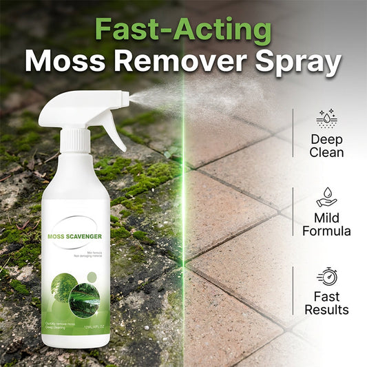 🔥 Last Day 50% OFF!!✨Outdoor Moss & Algae Remover Spray