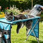 🛁 Struggle-Free Pet Grooming Starts Here – 2-in-1 foldable grooming bed that stops scratches, bites, and anxious wiggles. 😎