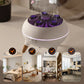 ❄️Summerfresh 50% OFF!✨Dancing Jellyfish Mist Aroma Diffuser – 7-Colour LED Mood Light, 250ml Tank & 4/8H Timer