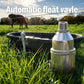 🎃Halloween Deal 50% OFF!💧Automatic Water Level Float Valve – 304 Stainless Steel Auto Shut-Off for Tanks & Troughs