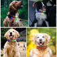 LED pet collar, rechargeable, anti-lost