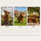 🎃Halloween Deal 50% OFF!🔧🐮2027 Grumpy Highland Cows A4 Wall Calendar – A Year of Attitude